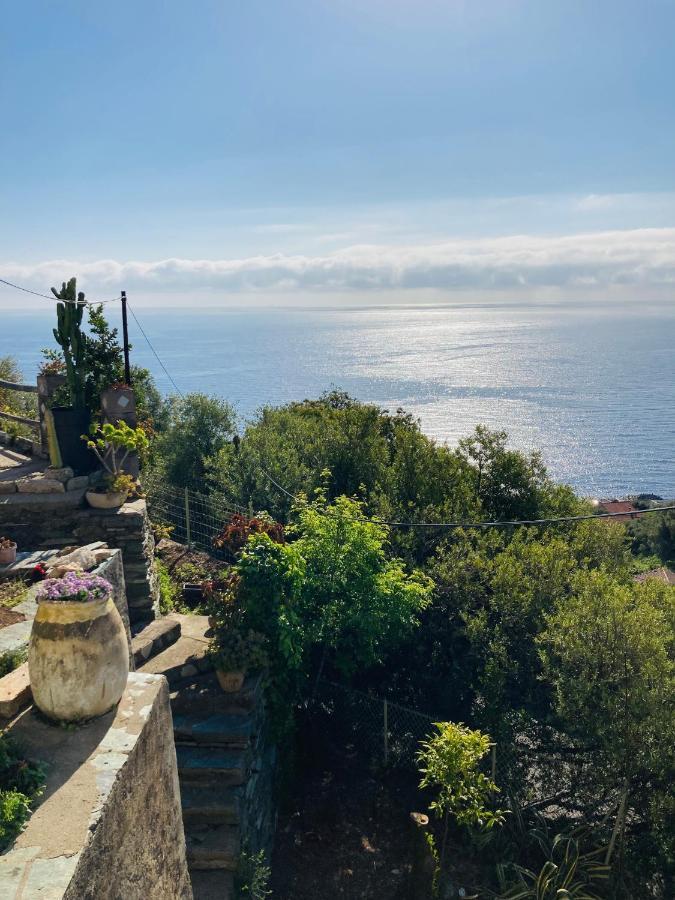 Maison Mediterraneo - Rez De Villa, Vue Imprenable Sur La Mer Pietranera ภายนอก รูปภาพ